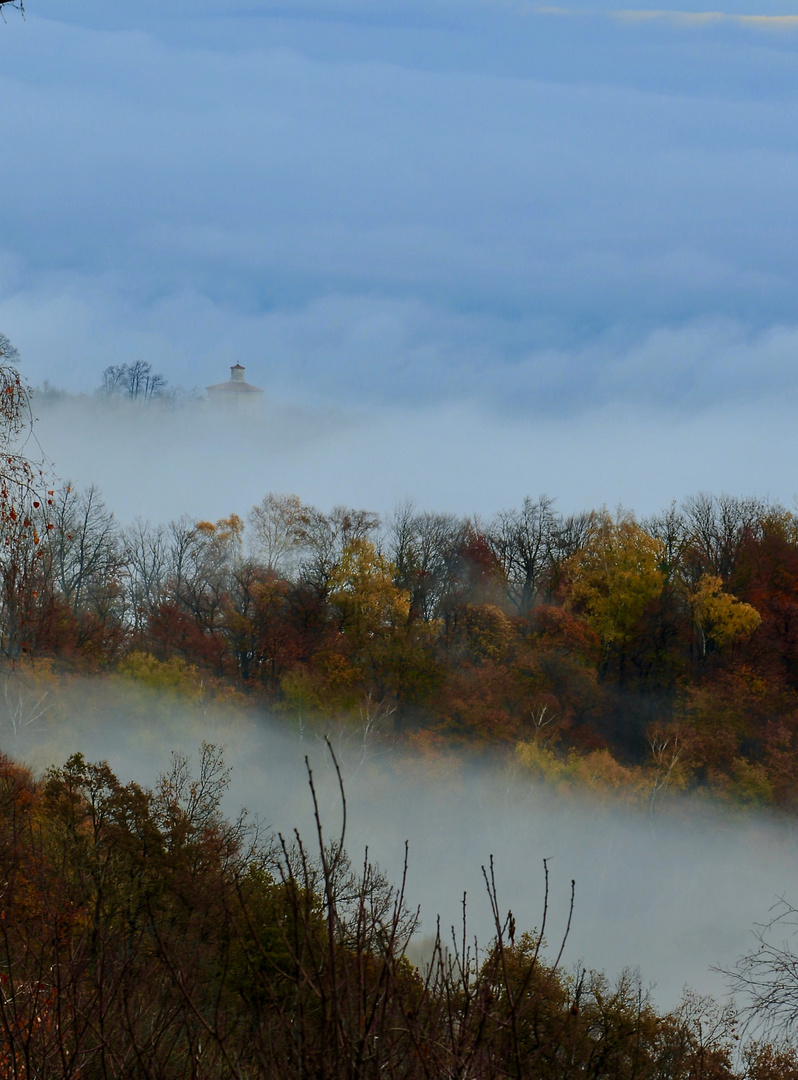 nebbia