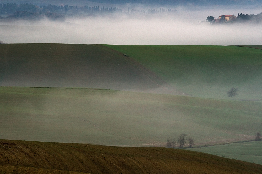 nebbia