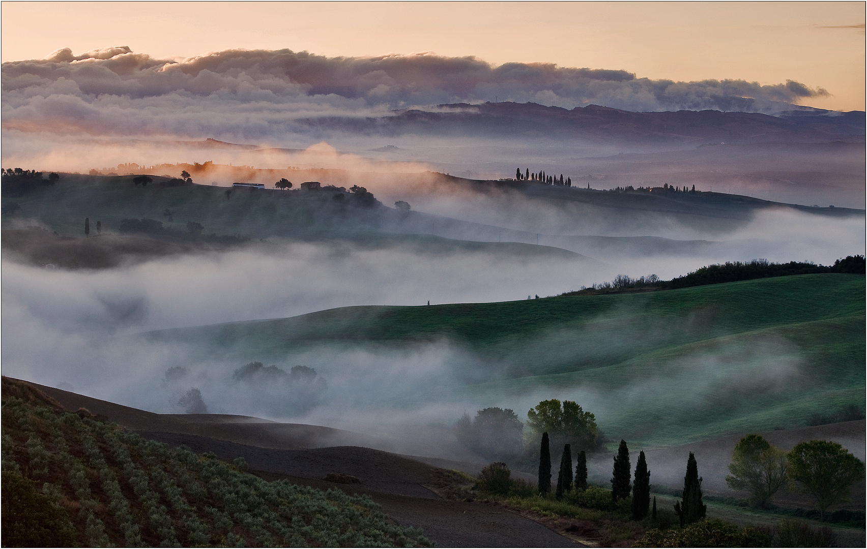 Nebbia