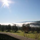 Nebbia a mezzogiorno