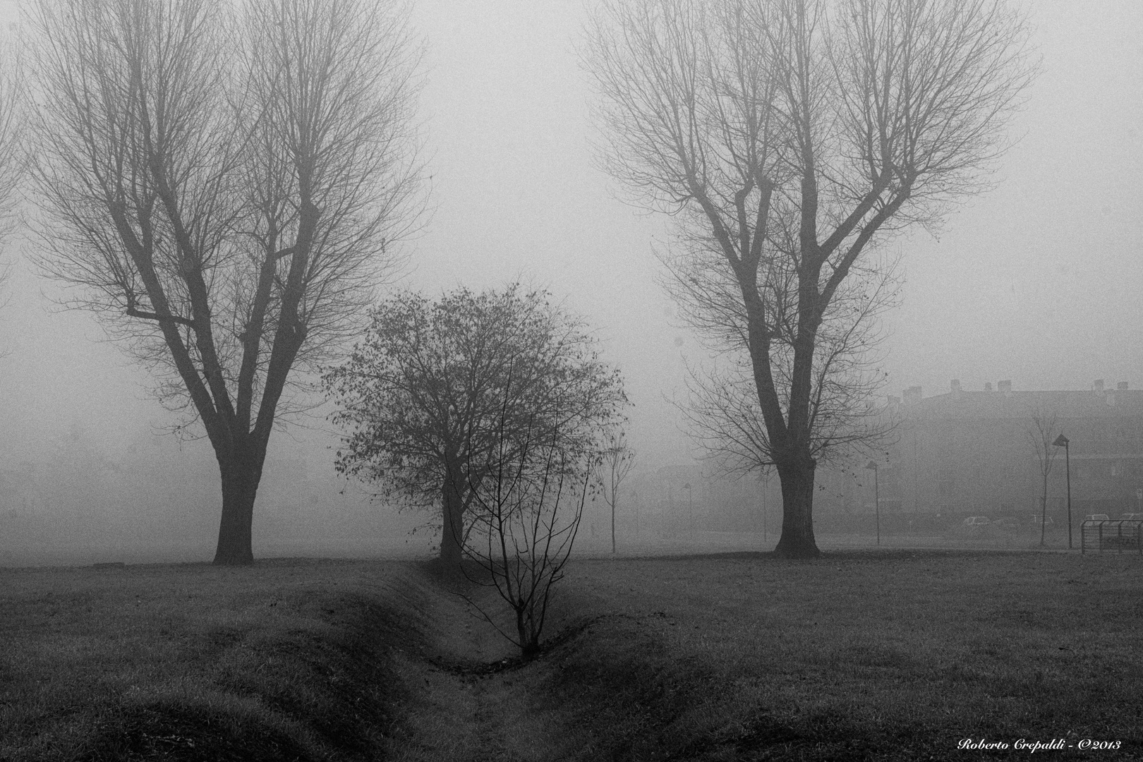 Nebbia a Pioltello