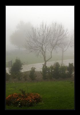Nebbia...