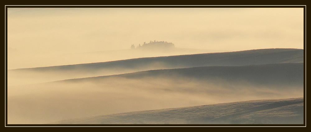 "Nebbia ad Orciano 2"