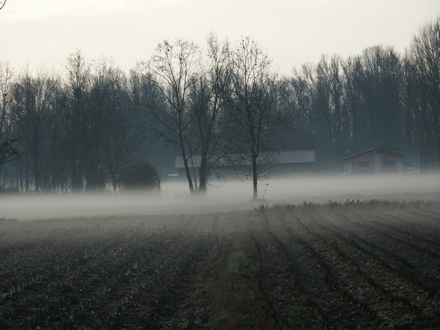 Nebbia Al Mattino