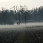 Nebbia Al Mattino