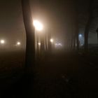 Nebbia al parco