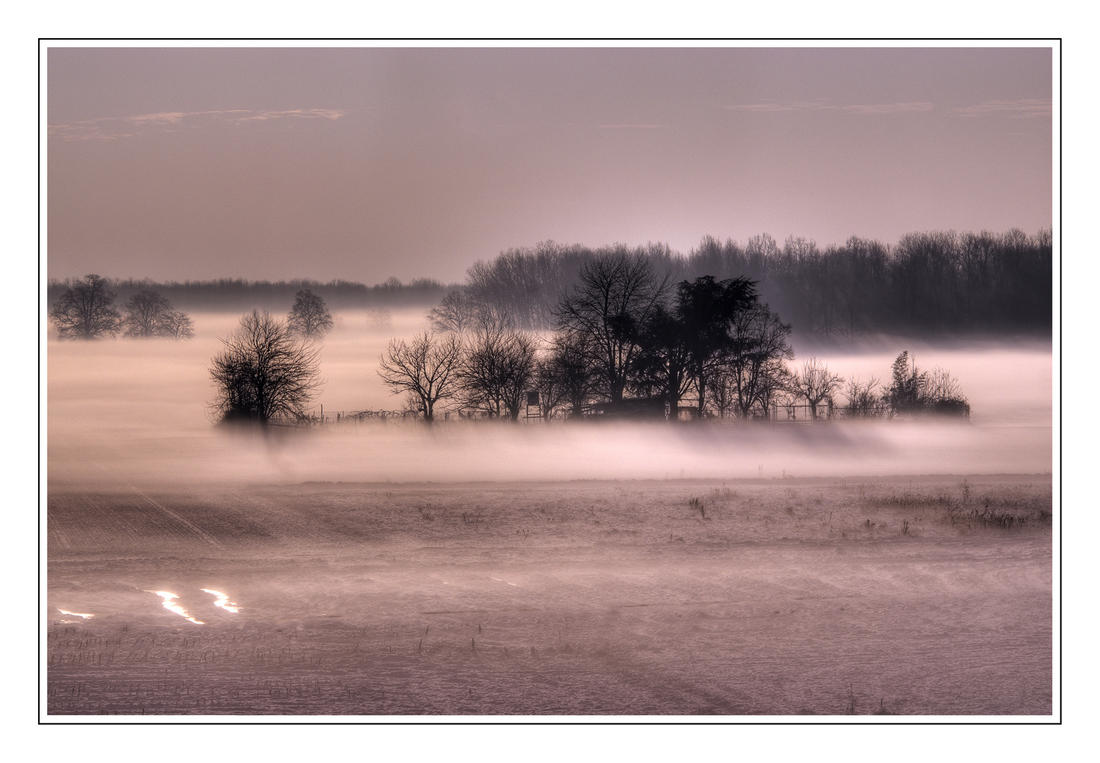 Nebbia all'alba