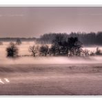 Nebbia all'alba