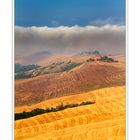 Nebbia alle crete Senesi...