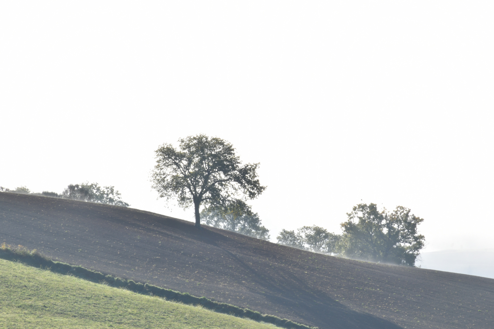 Nebbia all'orizzonte