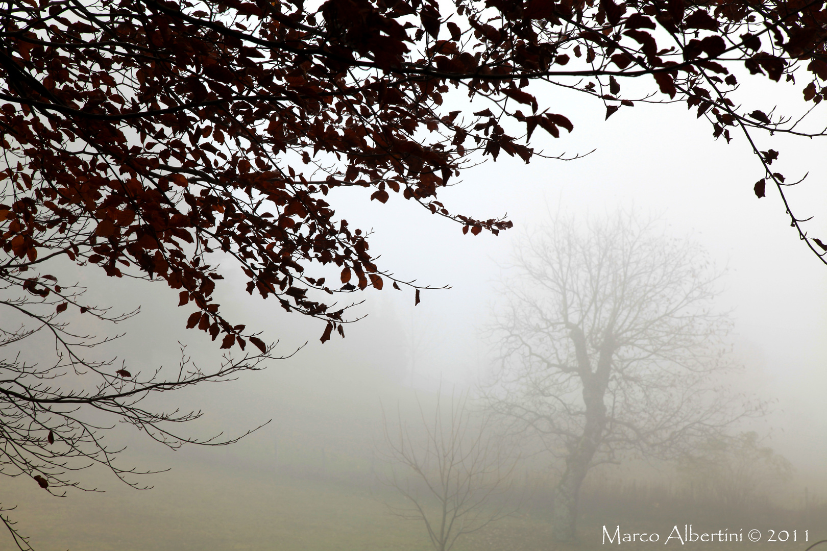 Nebbia attorno a noi