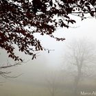 Nebbia attorno a noi