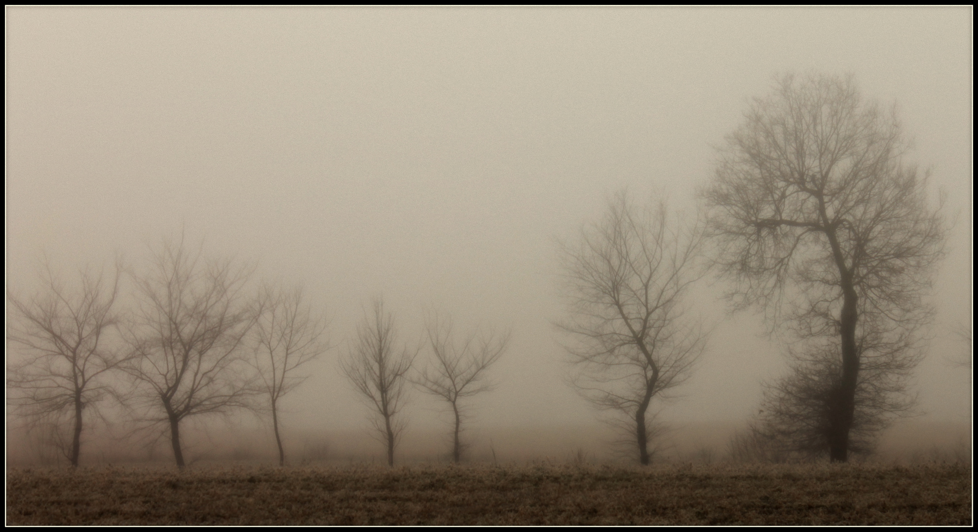 nebbia