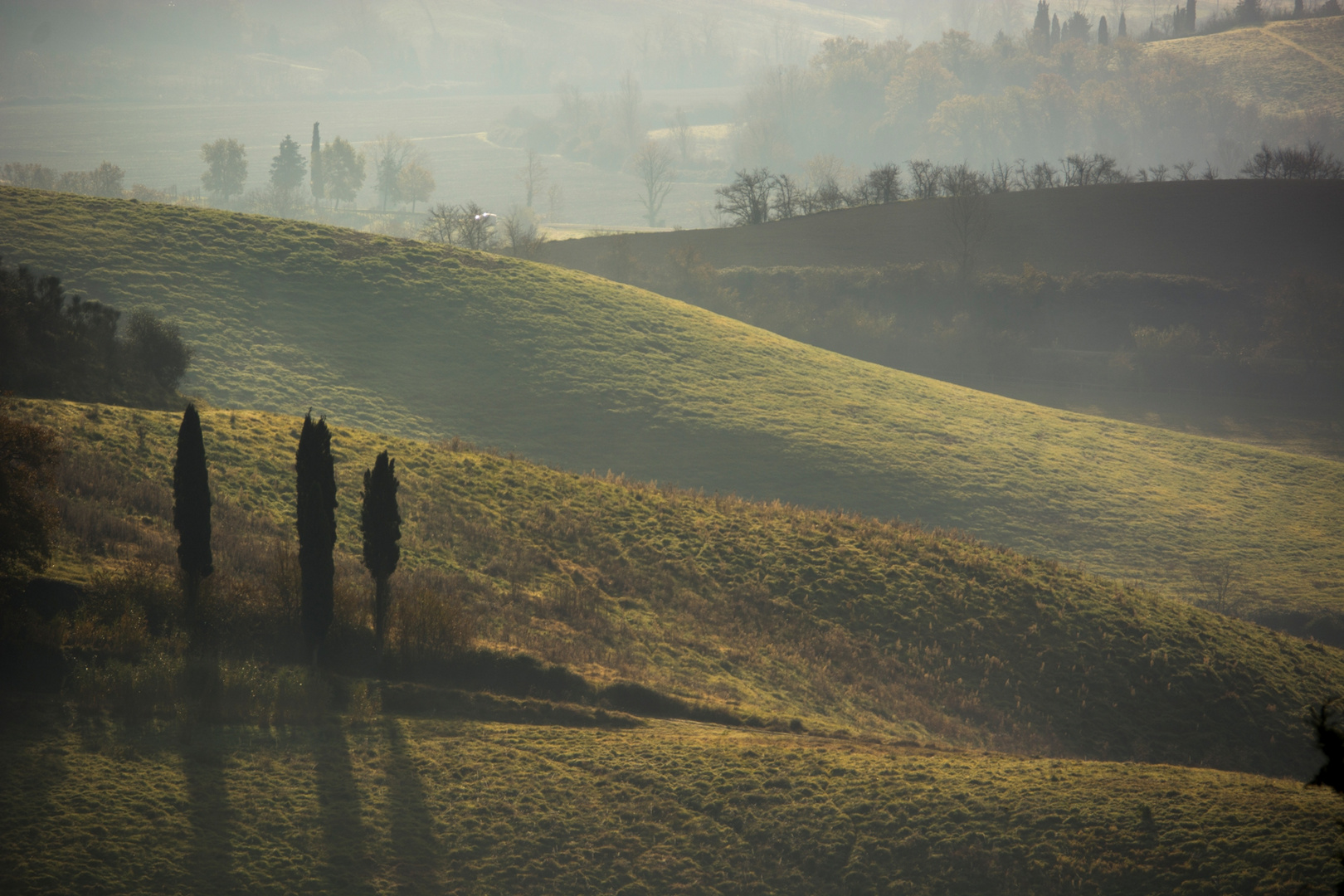 nebbia che sale