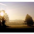 Nebbia d'autunno