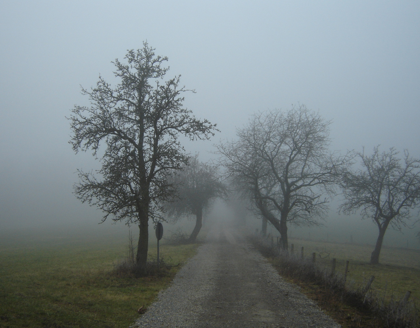 NEBBIA D'AUTUNNO