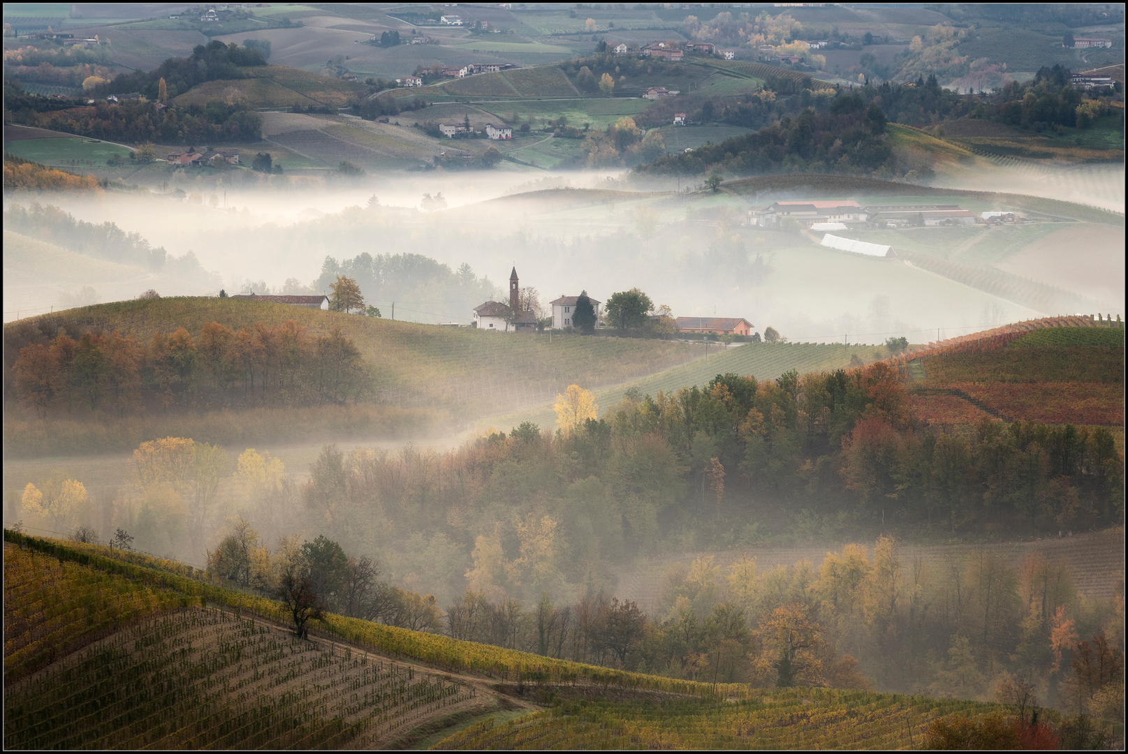 nebbia diradante nelle langhe