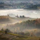 nebbia diradante nelle langhe