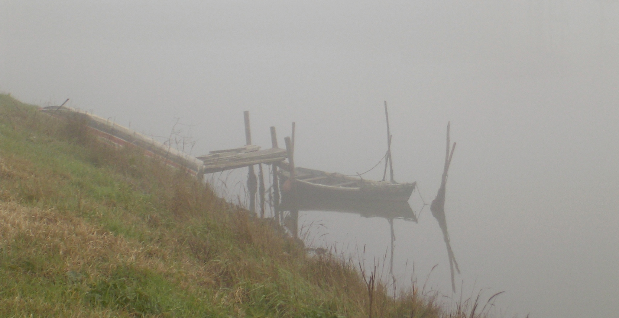 Nebbia e barca