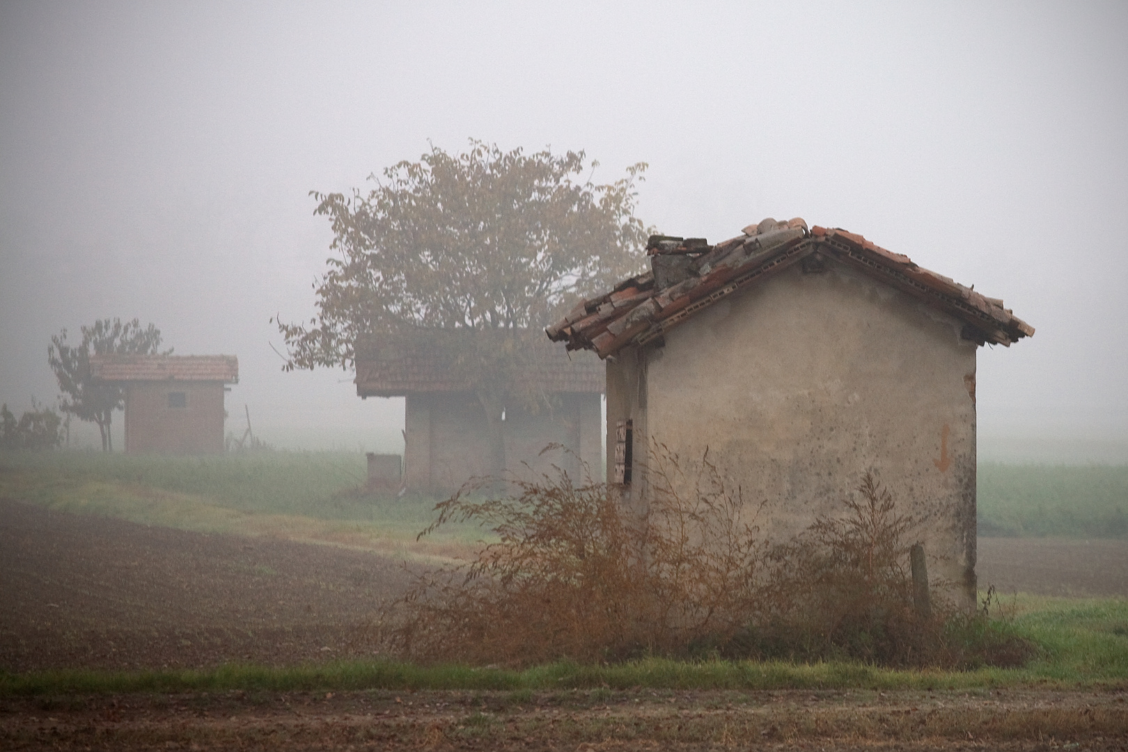 nebbia e capanno