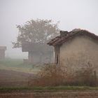 nebbia e capanno