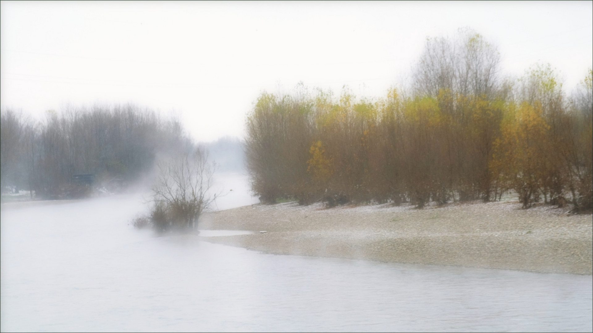 Nebbia e colore