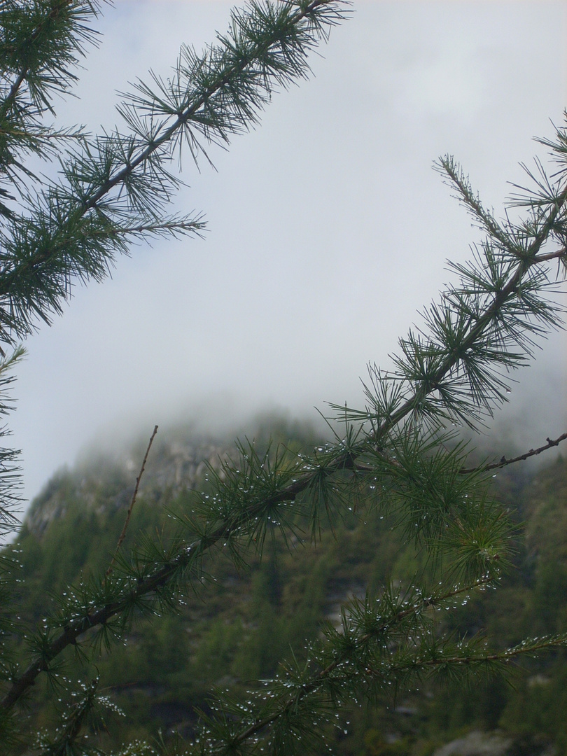 nebbia e gocce