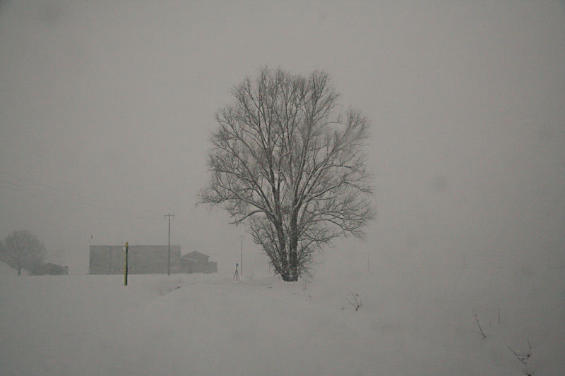 nebbia e neve