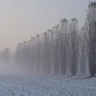 Nebbia e neve