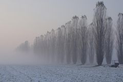 Nebbia e neve