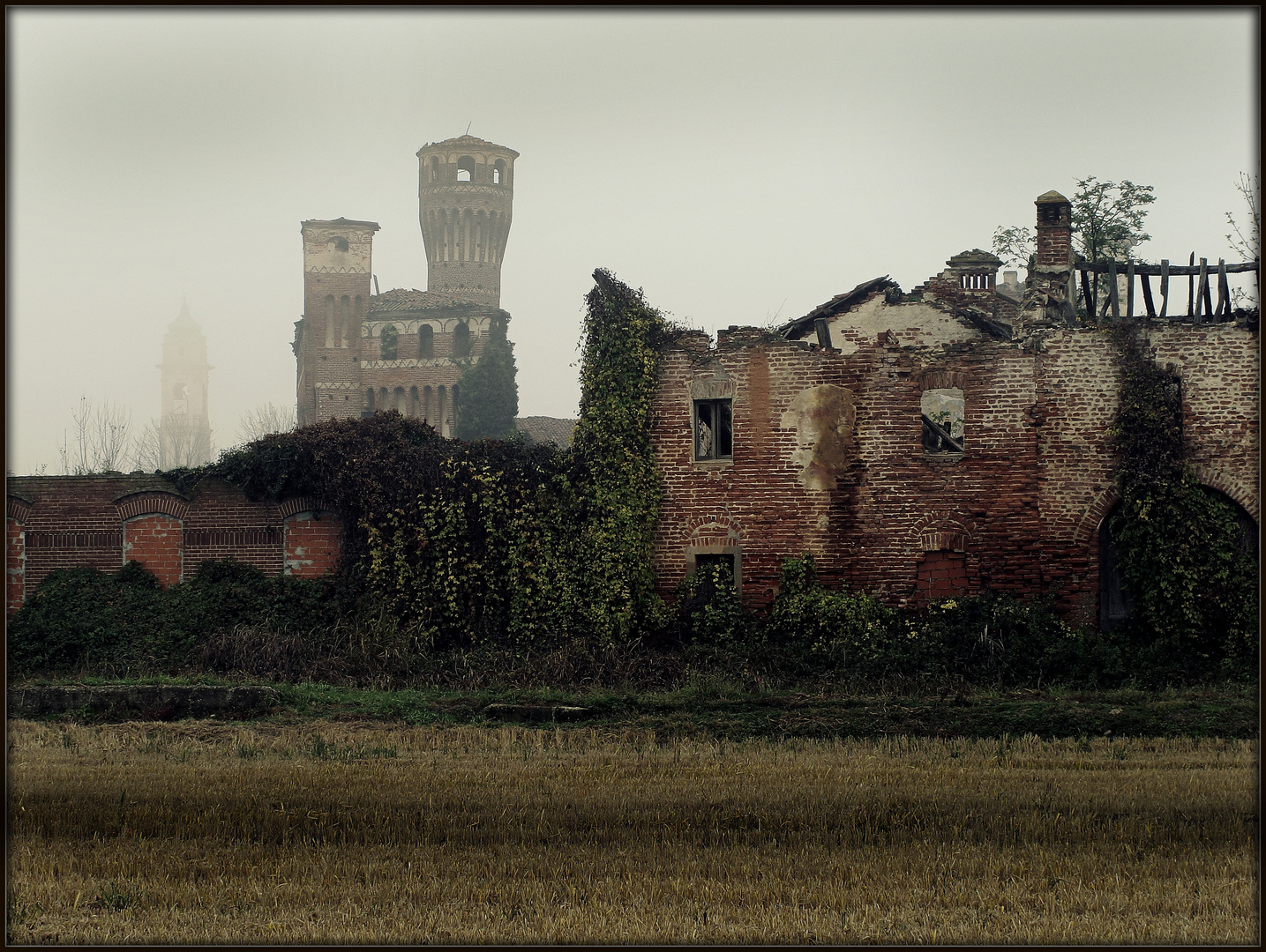 Nebbia e risaie