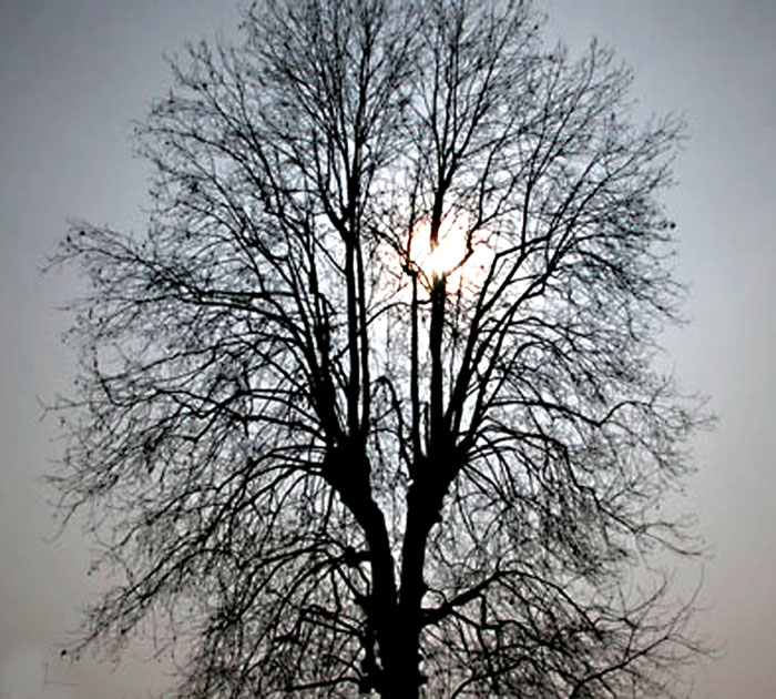 nebbia e sole in cmpetizione