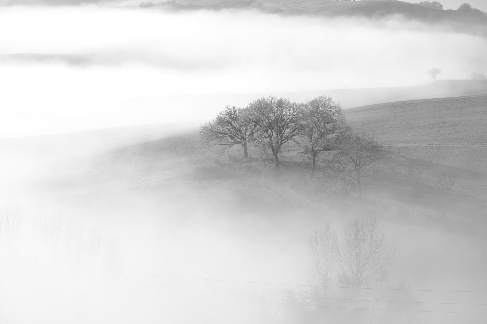 nebbia - fog - Nebel