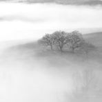nebbia - fog - Nebel