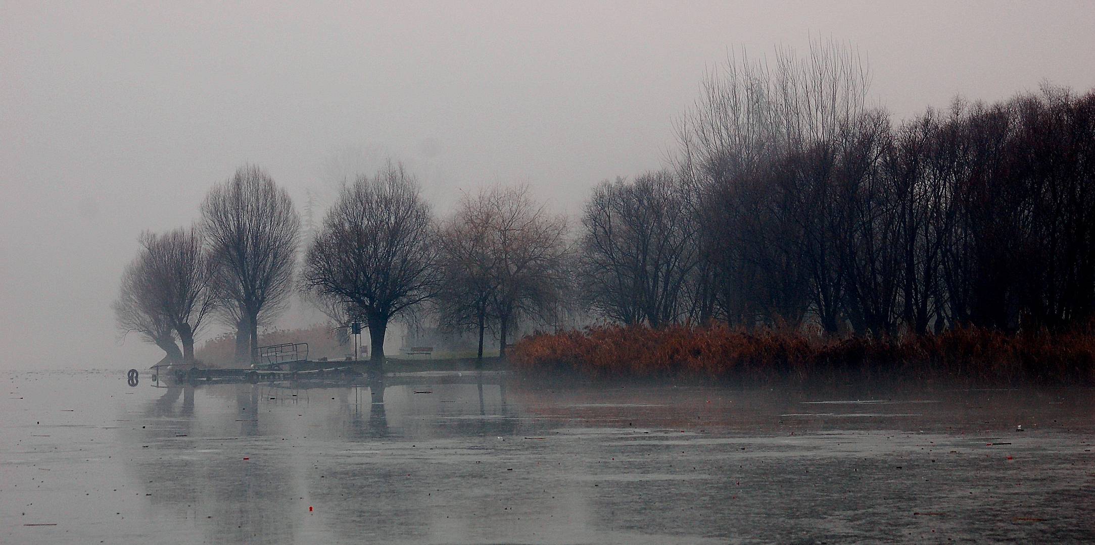 nebbia ghiaccio pioggia