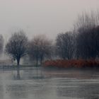 nebbia ghiaccio pioggia