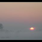  nebbia in Brianza