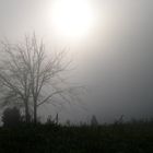 nebbia in collina