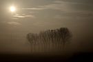 Nebbia in Padania von Aldo Consani 