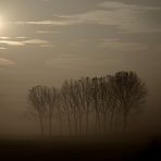 Nebbia in Padania