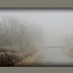 Nebbia invernale - Winter fog's