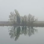 Nebbia lungo il fiume