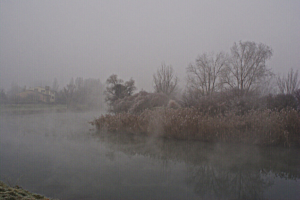 nebbia lungo sile