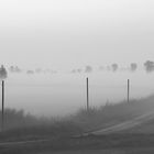 Nebbia Mattutina #01