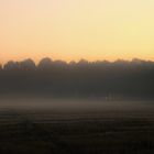 Nebbia mattutina