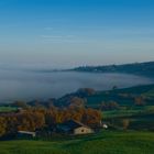 Nebbia mattutina