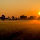 nebbia mattutina