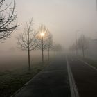 Nebbia mattutina