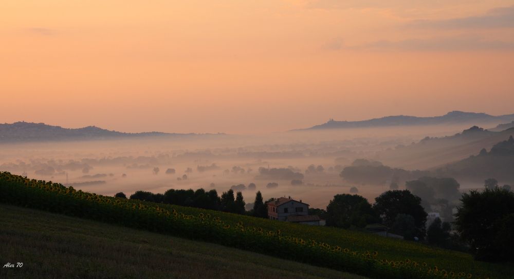 nebbia mattutina