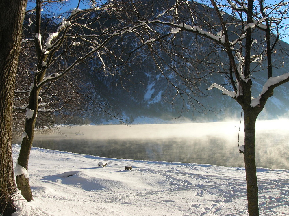 nebbia mattutina